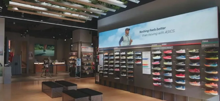 ASICS > 咨询与服务 > 达索系统®